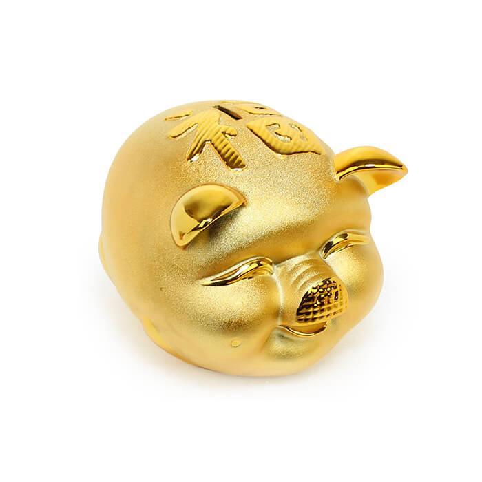 Maximus quam posuere